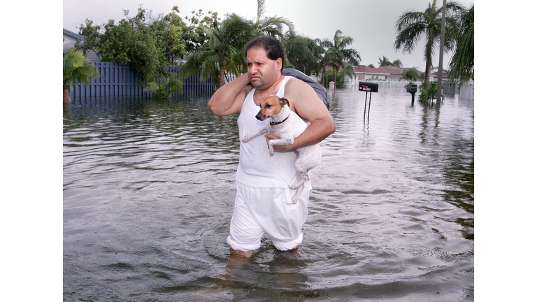 New bill would make it illegal to abandon pets during hurricanes