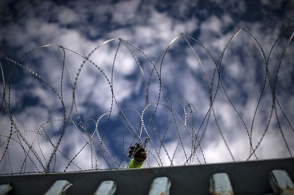 Barb Wire Cut