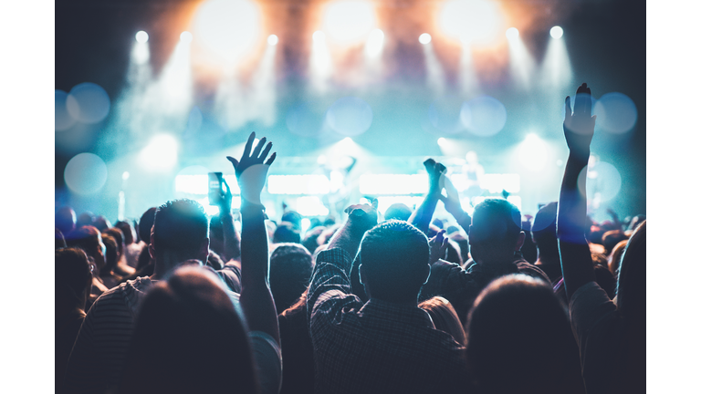 Arms Raised Concert