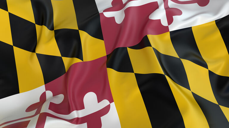 Maryland State Flag