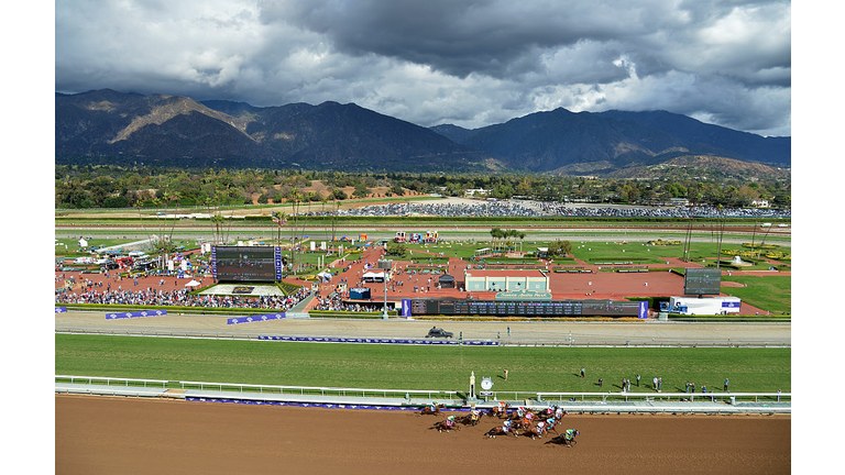 2014 Sentient Jet Breeders' Cup Juvenile