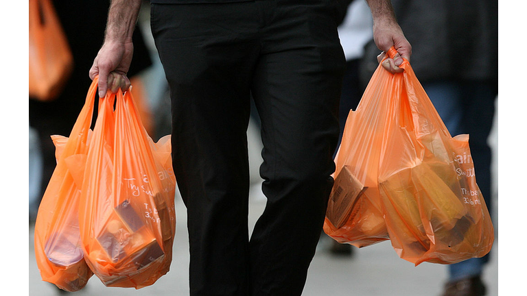 Plastic Bags - The Environmental Scourge