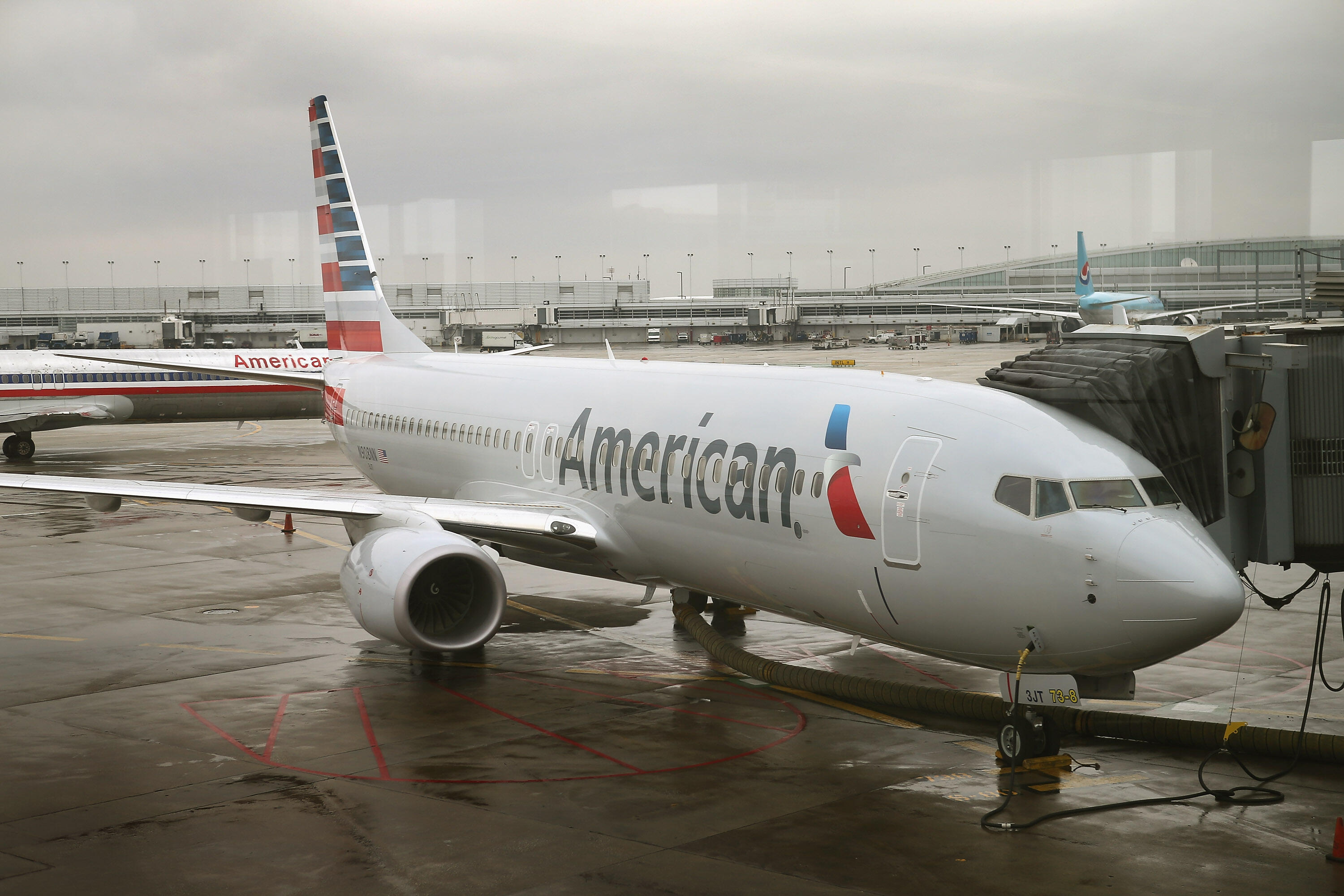 american-airlines-flight-makes-emergency-landing-after-a-bird-strike