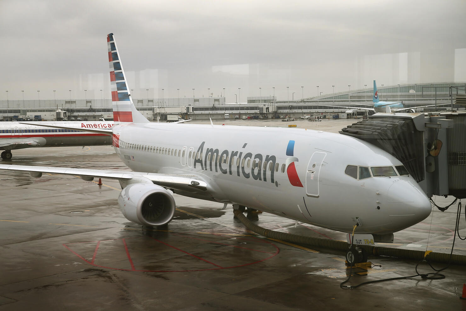 American Airlines flight returns to airport after striking flock of geese