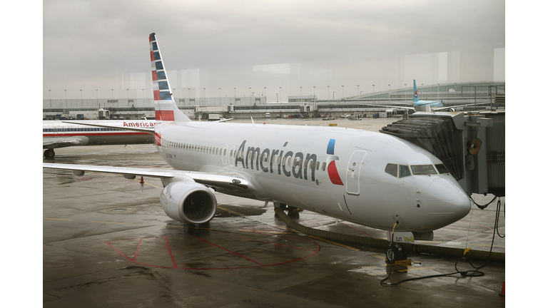 American Airlines flight returns to airport after striking flock of geese