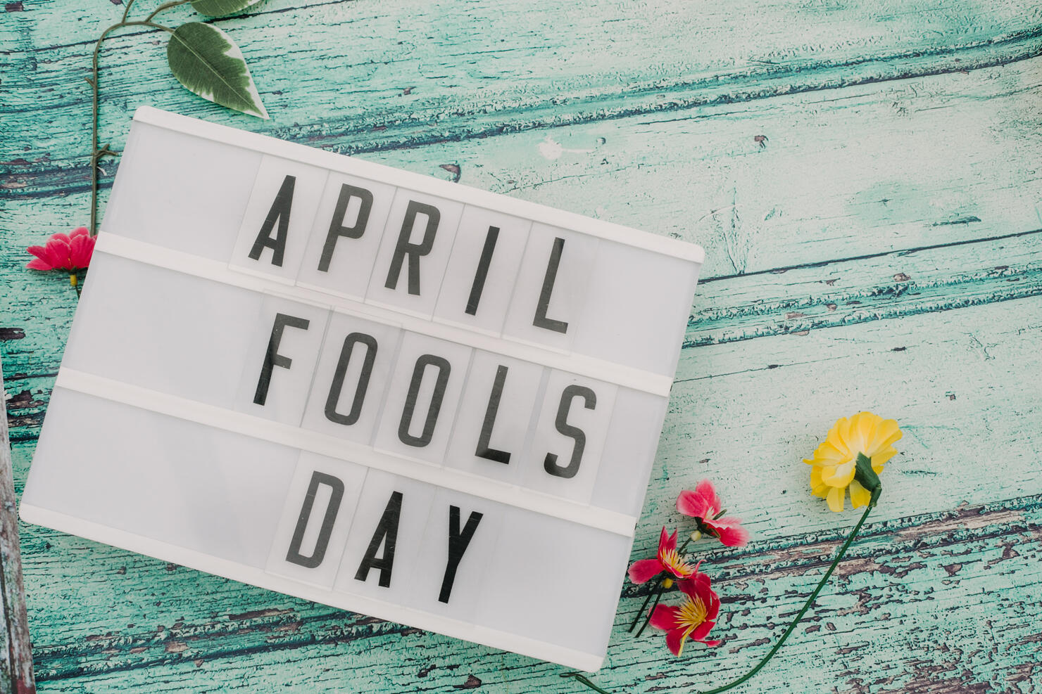 'April fools day in lightbox