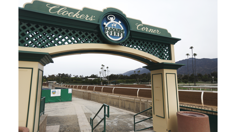 Santa Anita Park Track Cancels Races As Over 20 Horses Have Died There In Under Three Months