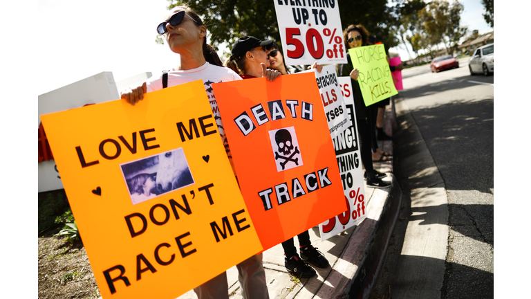 Activists Protest Outside Santa Anita Race Track After 21 Horse Deaths