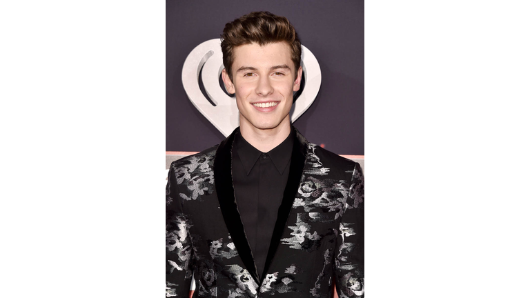 Answer: Shawn Mendes