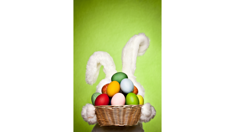 Set Your Kids Up with The Easter Bunny Tracker This Easter!