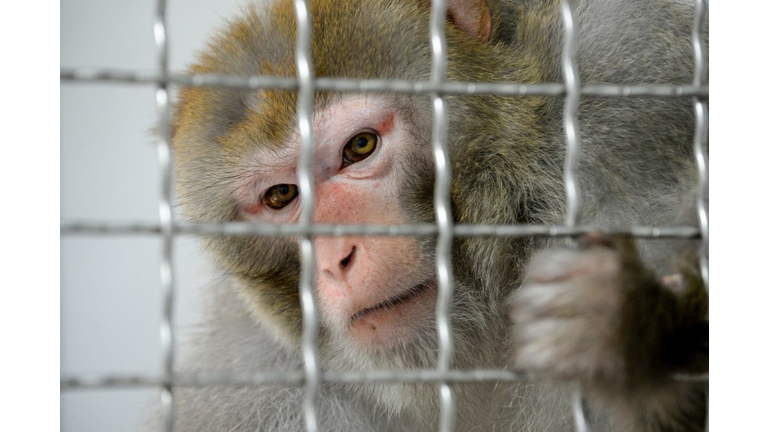 FRANCE-ANIMAL-ZOO-TOURISM