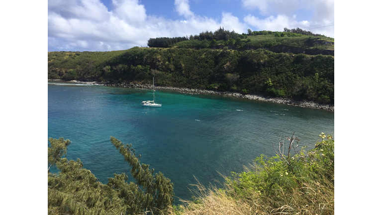 Honolua Bay