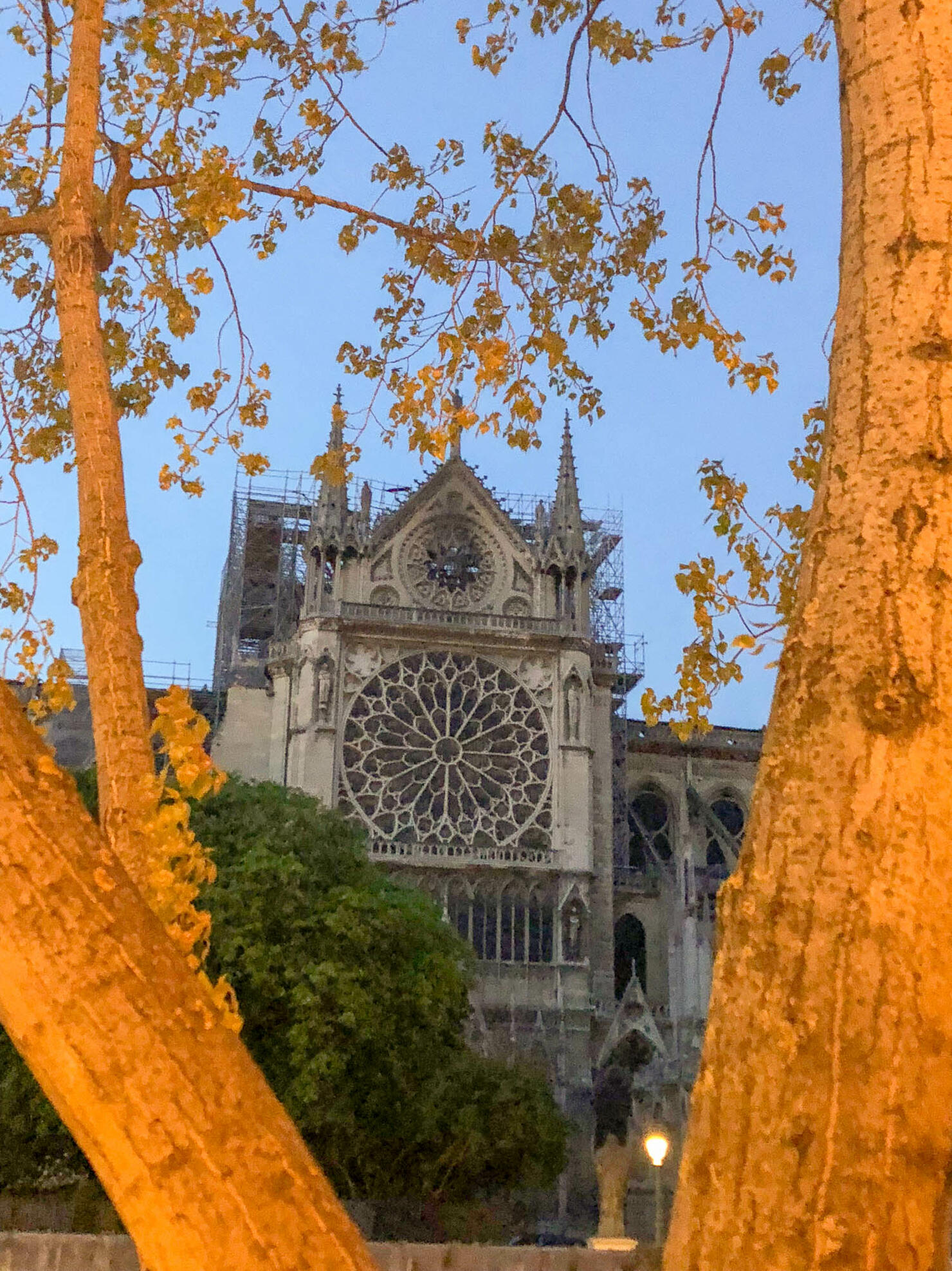 Notre Dame