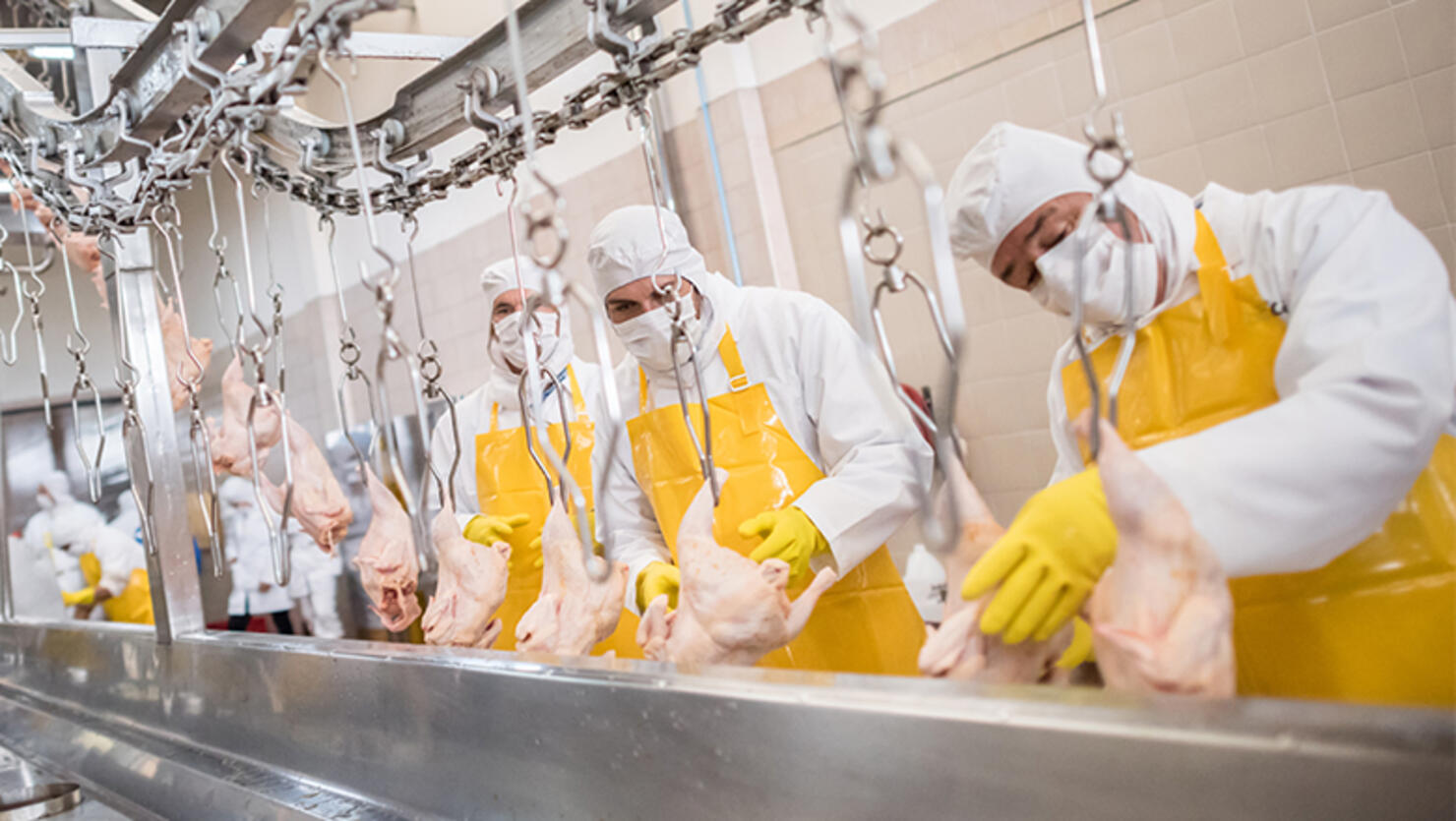 Workers at a food factory