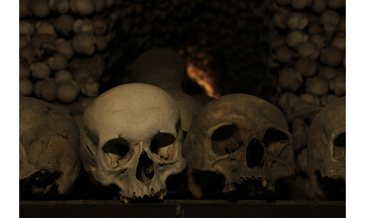 Close-Up Of Human Skulls