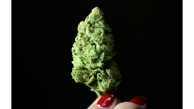 A bud of Maui Afghooey medical marijuana