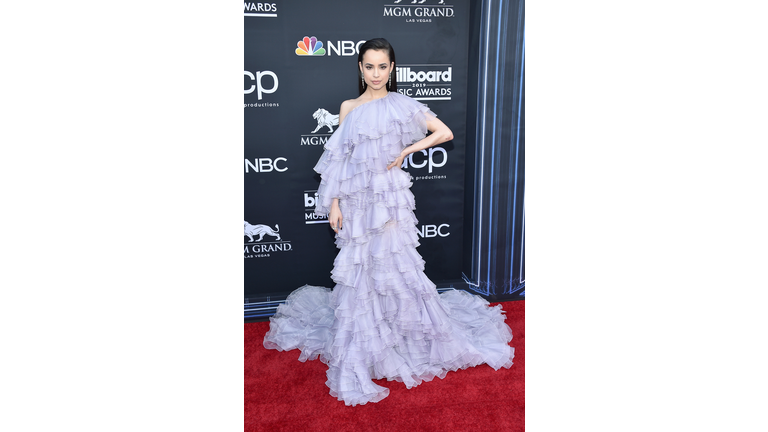 2019 Billboard Music Awards - Arrivals