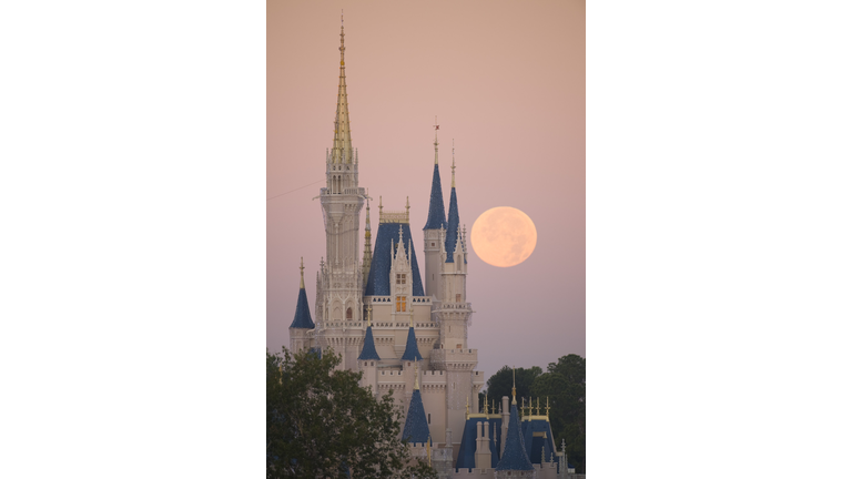 Full Moon Over Disney World