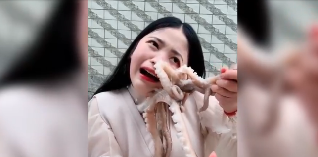 Vlogger Attacked As She Tries To Eat Live Octopus During Live Stream - Thumbnail Image