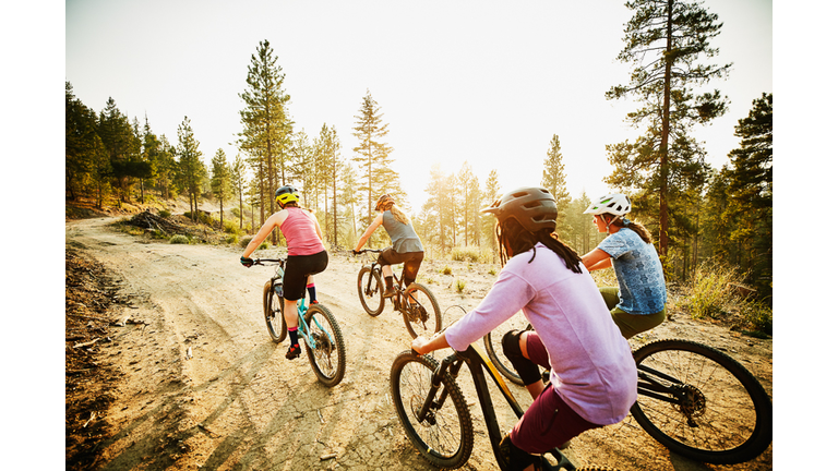 Female mountain bikers riding on forest road on summer evening