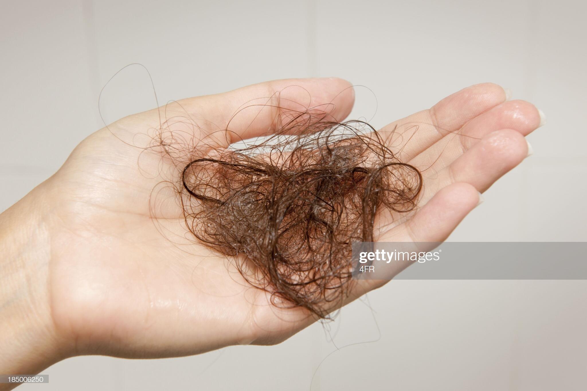 Hairdresser Creates 125lb Hairball! Not a World Record, but Getting There! - Thumbnail Image