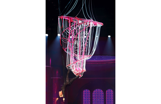 Pink at The Schottenstein Center