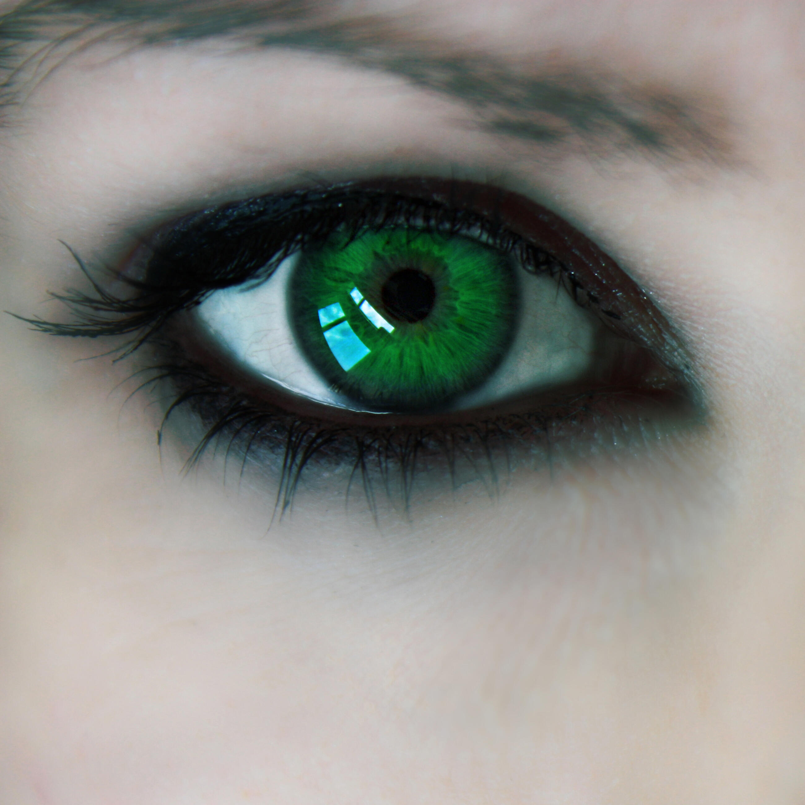 Черный зеленый глазками. Изумрудно зеленые глаза. Зеленый цвет глаз. Красивые Изумрудные глаза. Изумрудный цвет глаз.