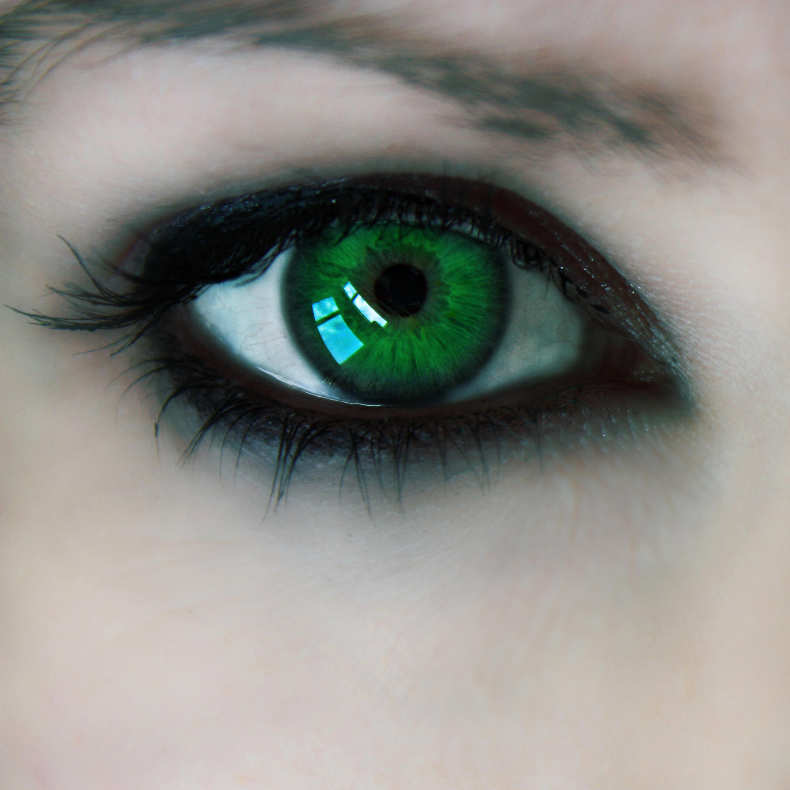 I am green eyes. Изумрудно зеленые глаза. Зеленый цвет глаз. Красивые Изумрудные глаза. Изумрудный цвет глаз.