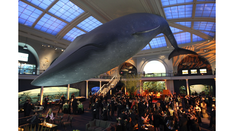 The American Museum Of Natural History's Annual Winter Dance