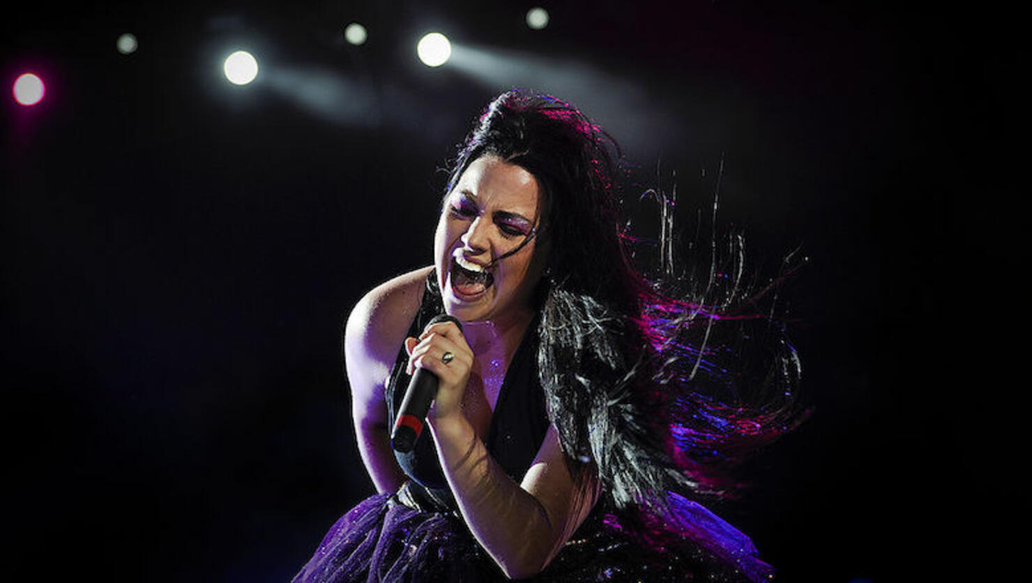 Amy Lee Singer