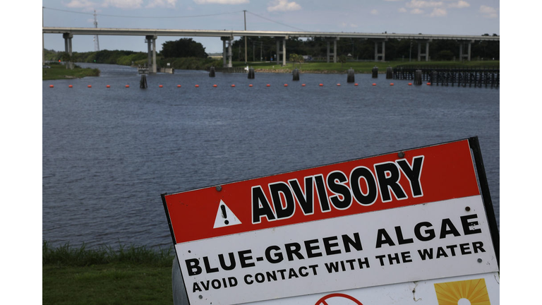 Overflow Of Lake Okeechobee Drained Into Reservoir In Effort Of Keeping Harmful Lake Water From Nearby Estuaries