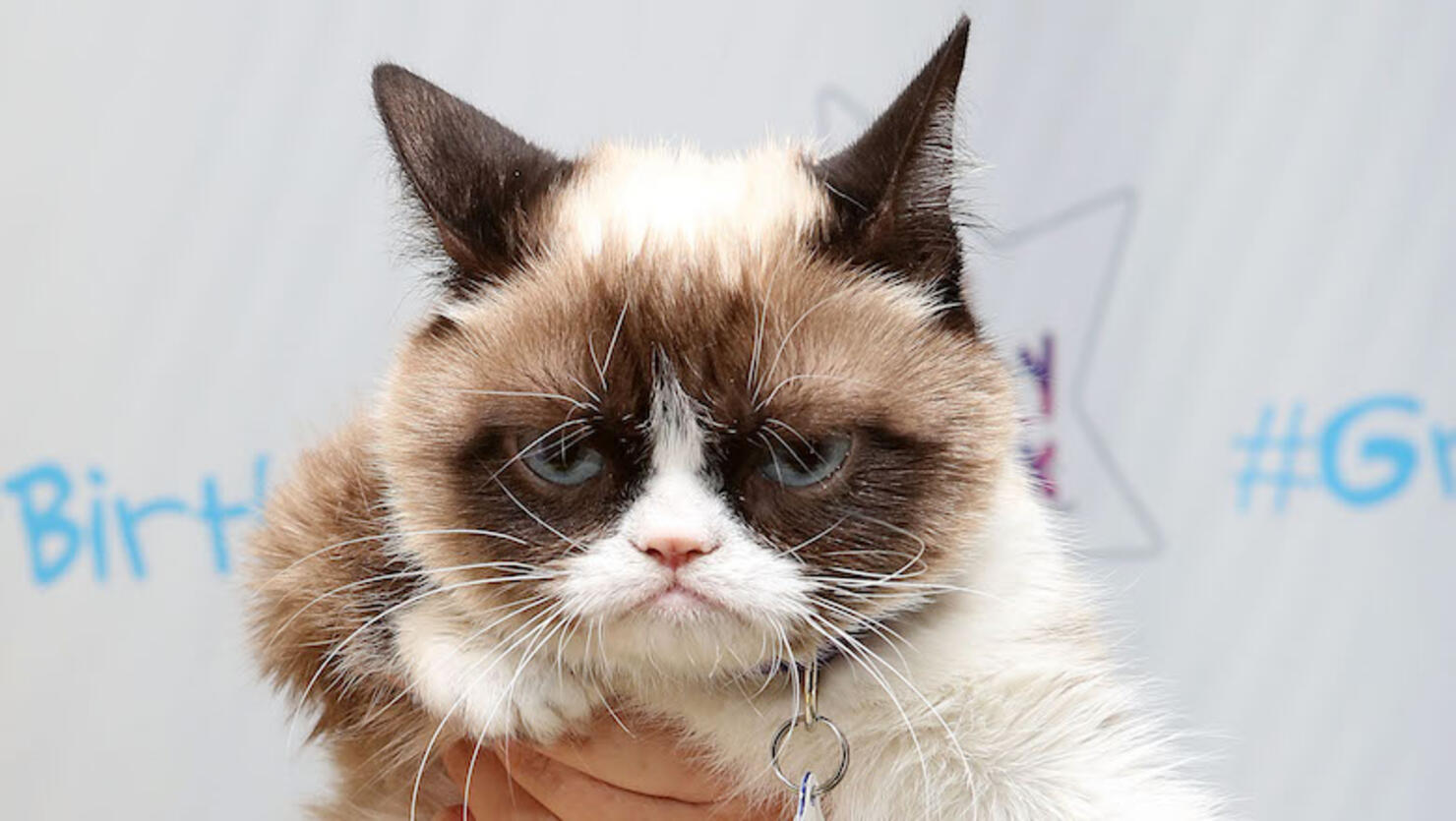 Grumpy Cat's "Grumpiest" Birthday Bash