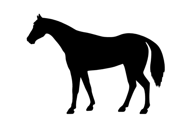 Silhouette of Horse