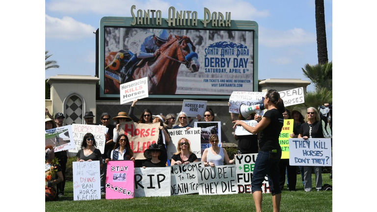 US-ANIMAL-HORSE-RACING-DEATHS