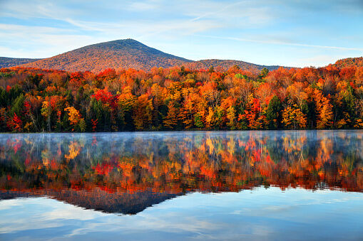 The lovely Fall foilage in New England