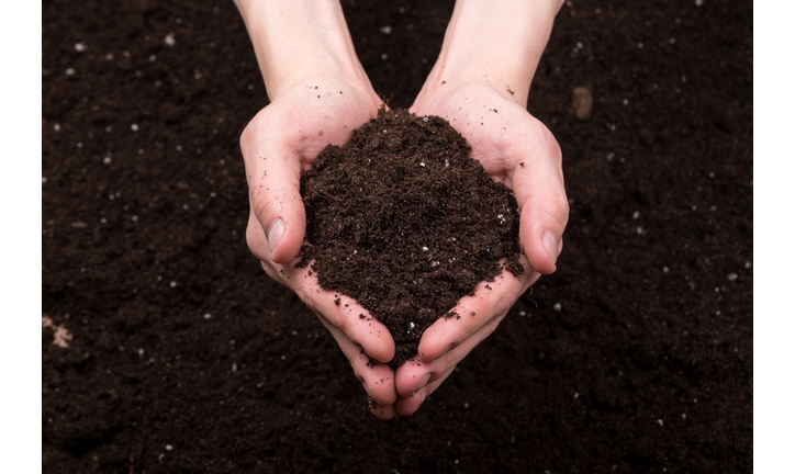 Soil in hands