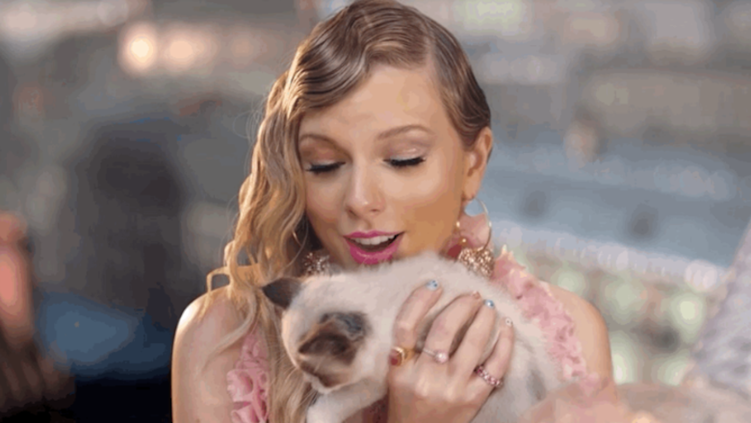 Taylor Swift Cuddles With Kitten Benjamin Button In Cute New Instagram Pic Iheart 