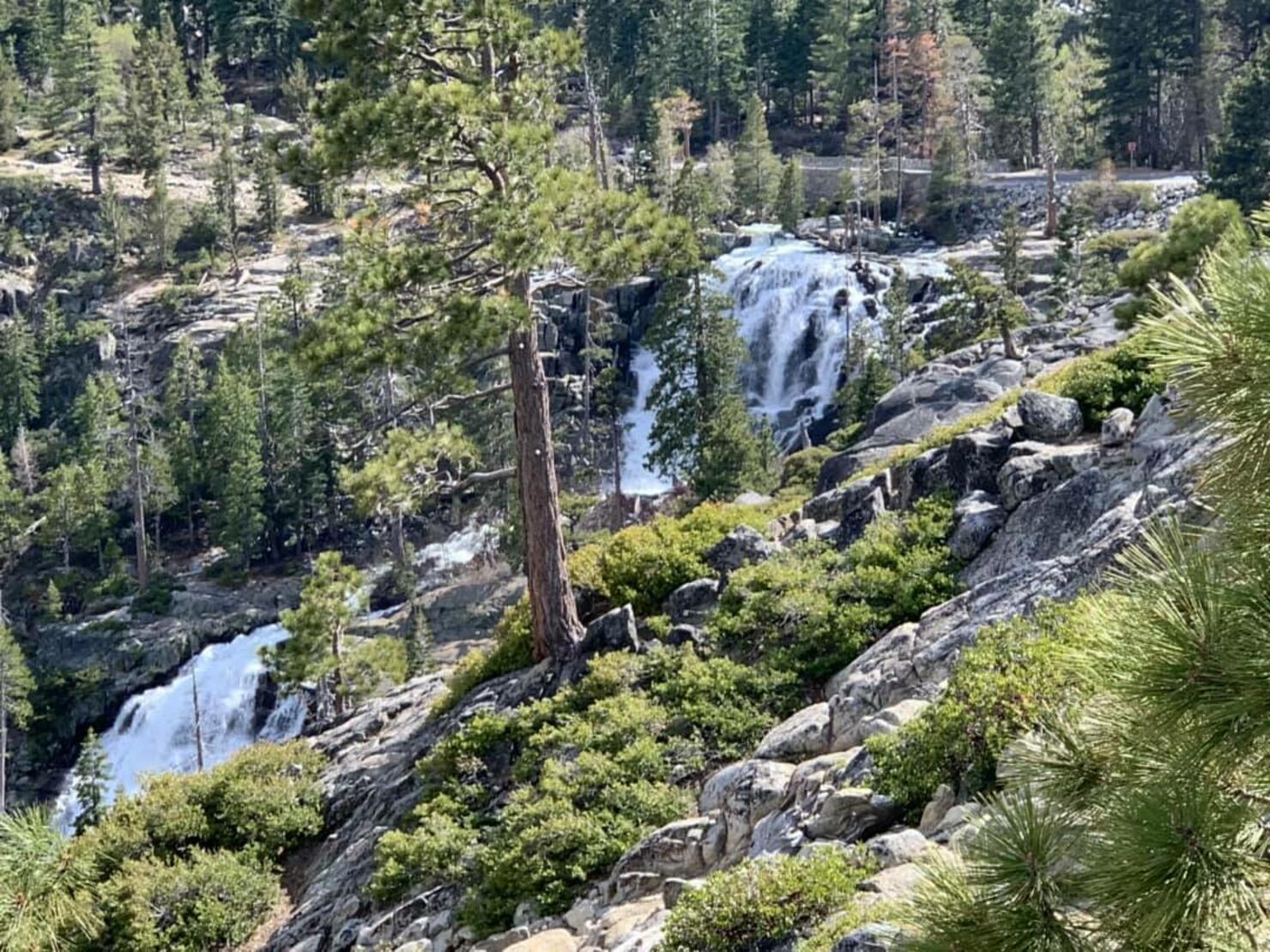 Woman taking selfie dies at Lake Tahoe