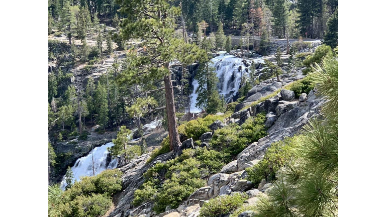 Woman taking selfie dies at Lake Tahoe
