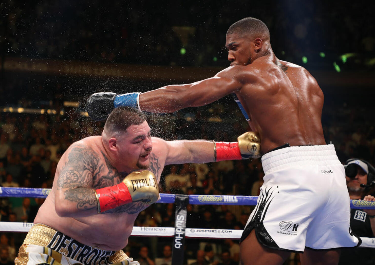 Anthony Joshua v Andy Ruiz Jr.