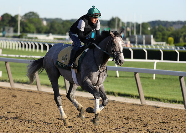 151st Belmont Stakes - Previews