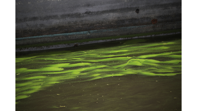 Florida Declares State Of Emergency Over Toxic Algae Bloom From Lake Okeechobee