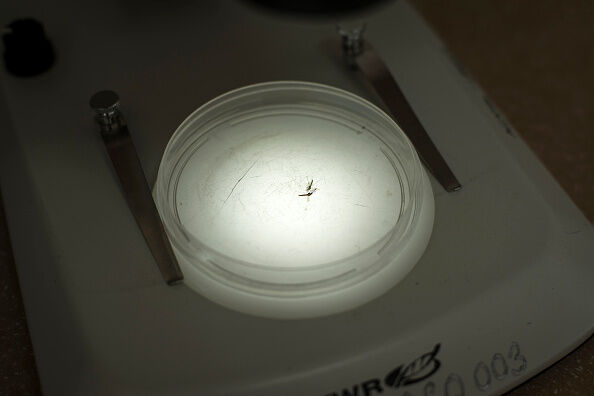 GHANA-HEALTH-MALARIA