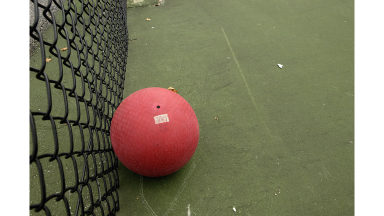Dodgeball Gains New Popularity With Adult Players