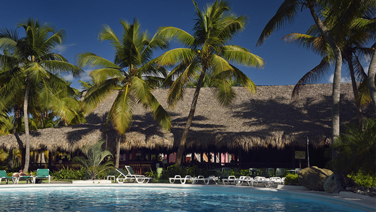 Pool and bar with coconut palm trees in Puerto Plata Dominican Republic