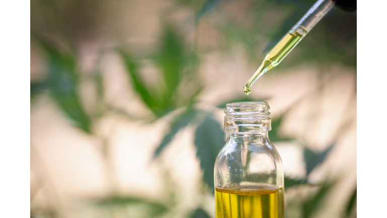 Hemp oil, Medical marijuana products including cannabis leaf,  cbd  and hash oil, alternative medicine