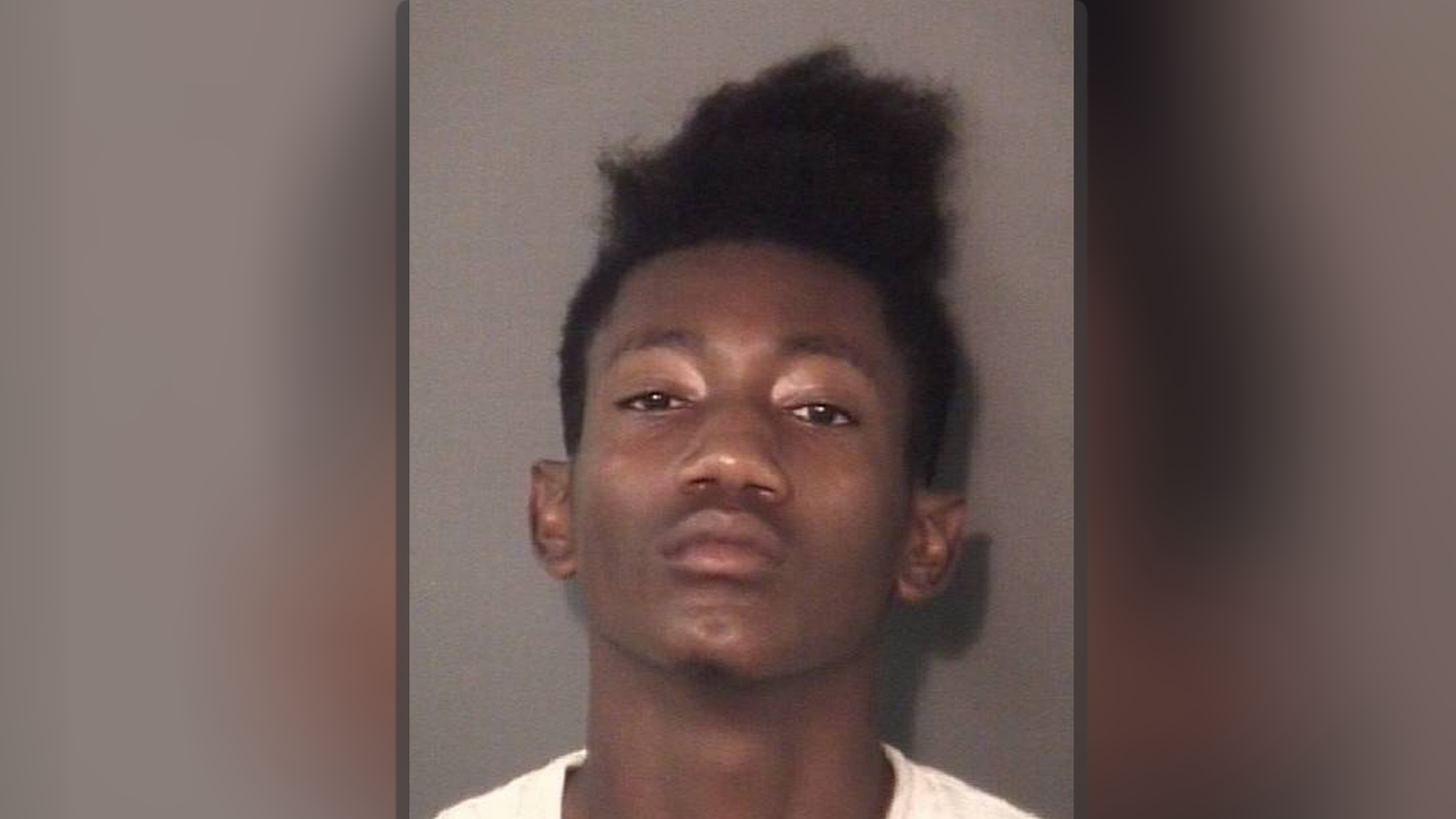 North Carolina boy whacks alleged robber with machete; injured suspect arrested after manhunt
