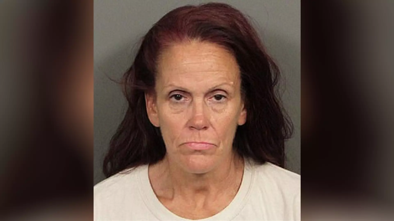 Accused Puppy-Dumper To Appear In Court Again Today