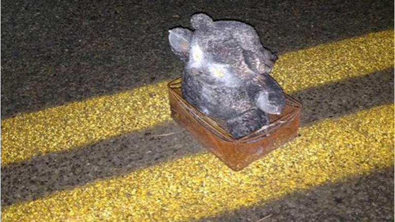 a pipe bomb disguised as a teddy bear