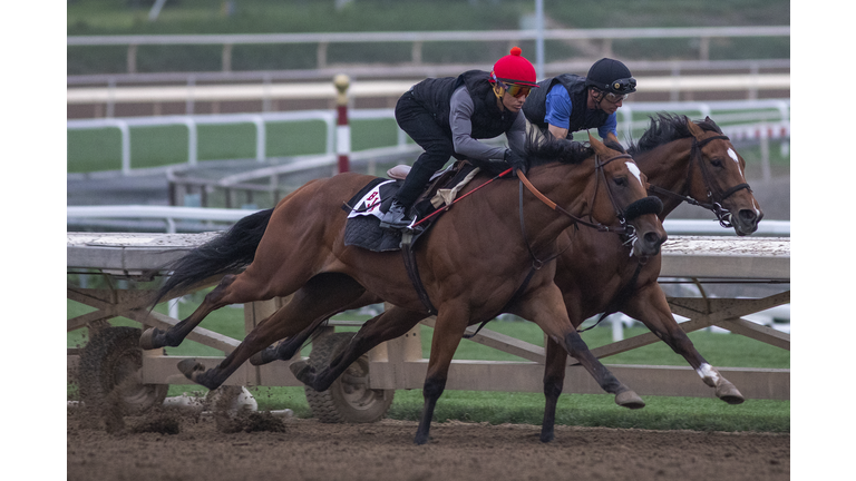 Getty Images: Horses At Santa Anita Horse Track To Be Reviewed By Safety Team Prior Races